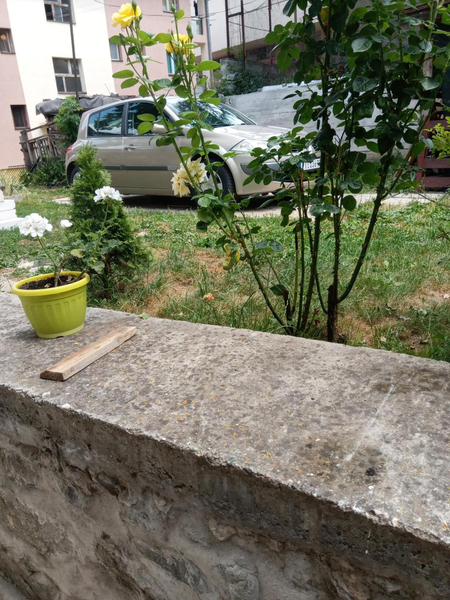 مبيت وإفطار Višegrad Rzav الغرفة الصورة